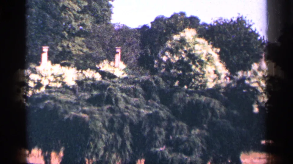 1964 New York City garden view with dense greenery, pale blossoms, and two brick chimneys rising behind the trees.
