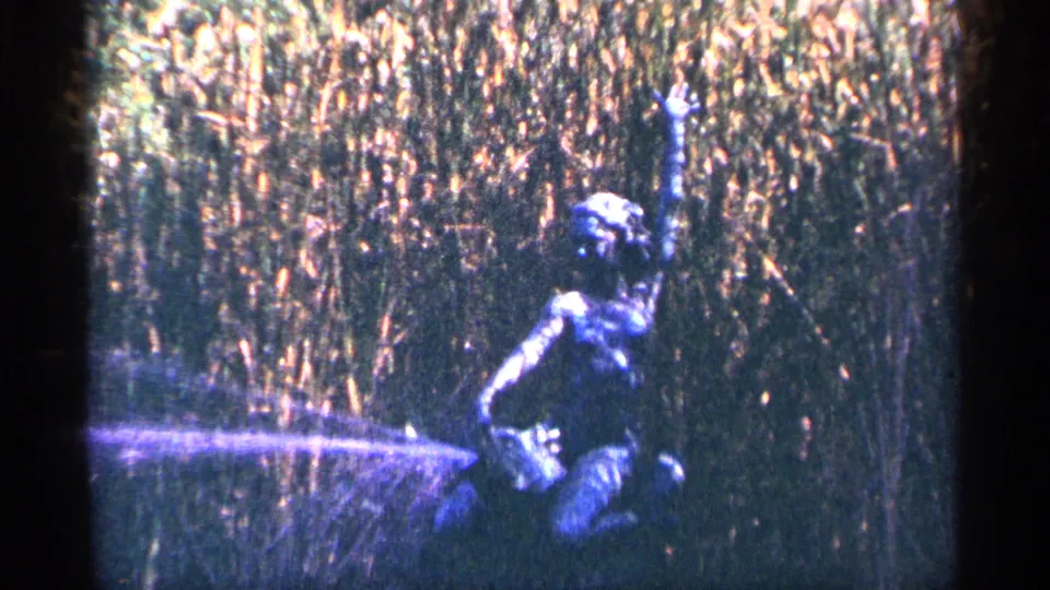 The final frame shows a dark garden statue or figure with one arm raised beside a low spray of water and dense reeds.