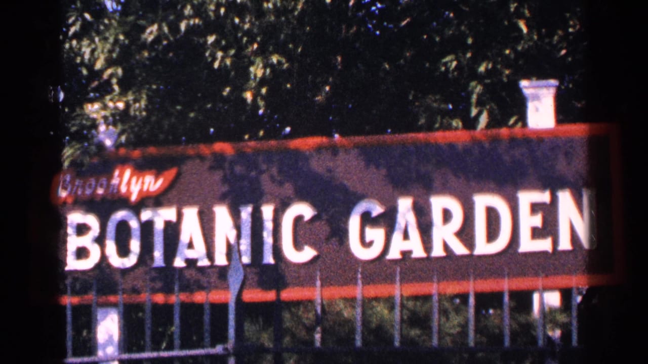 Brooklyn Botanic Garden sign with trees and fence in bright daylight.