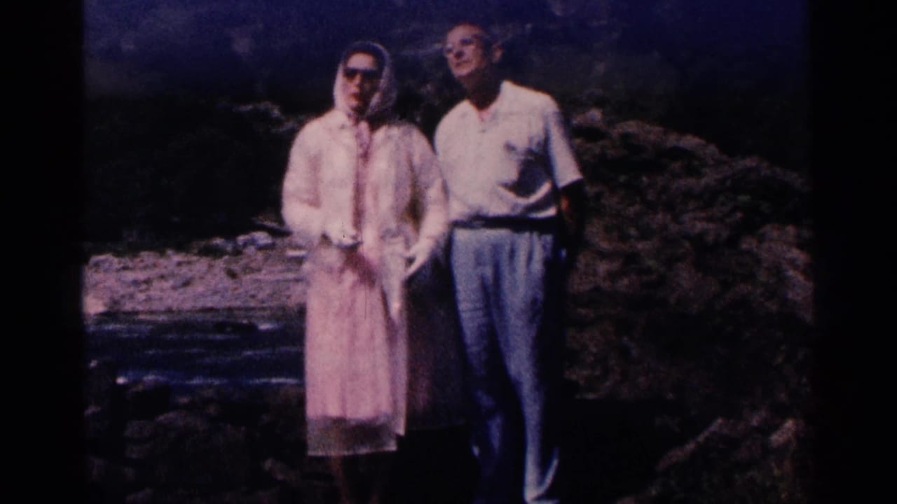 Adult couple in rainwear standing near water and rocks at Niagara Falls.