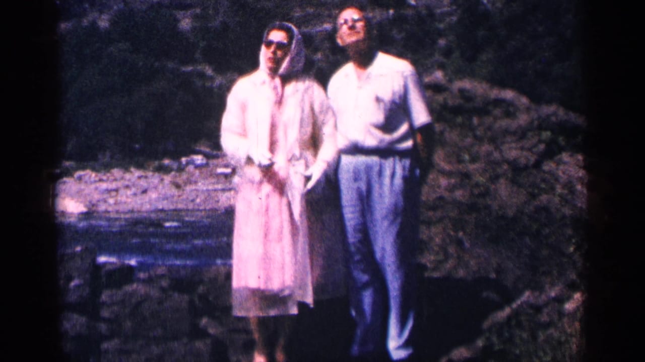 Adult visitors stand together at Niagara Falls, Canada, with the woman in a hooded pink raincoat and the man in light shirt and trousers.