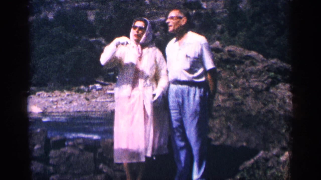 1964 home-movie frame near Niagara Falls, Canada, showing an adult couple posed beside water and rocks, with greenery behind them.