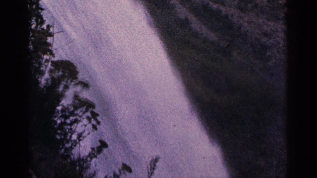 Water plunges over Niagara Falls with dark tree silhouettes along the left edge.