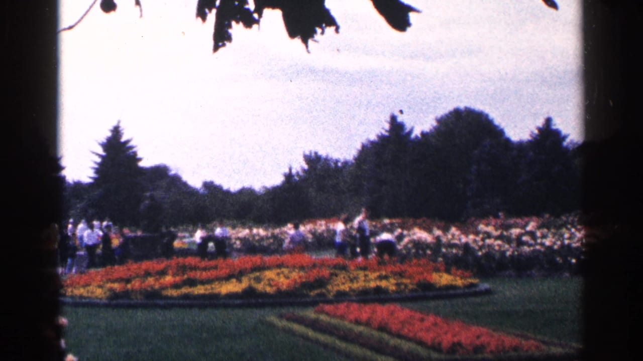Visitors stand near bright formal flower beds bordered by trees.