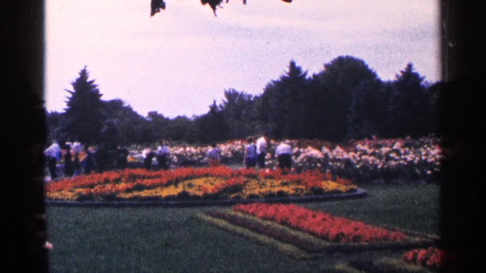 Home-movie view of visitors moving through landscaped flower beds in the Niagara Falls area, with trees and lawn in the background.