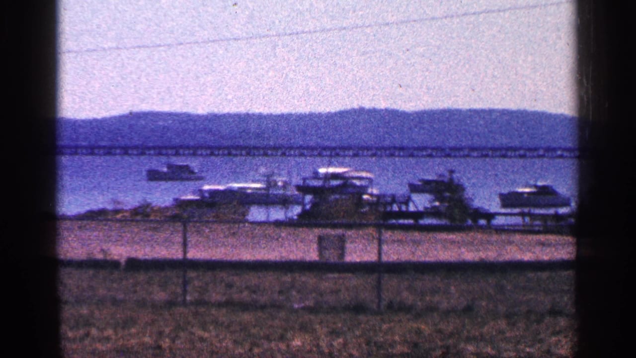 Docked pleasure boats on a shoreline with water, hills, and a bridge behind them.