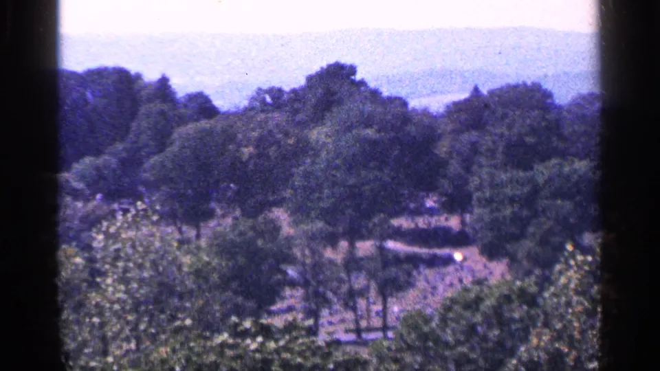 1964 Pennsylvania home-movie frame looking over mature trees toward a sunlit clearing and hazy distant hills.