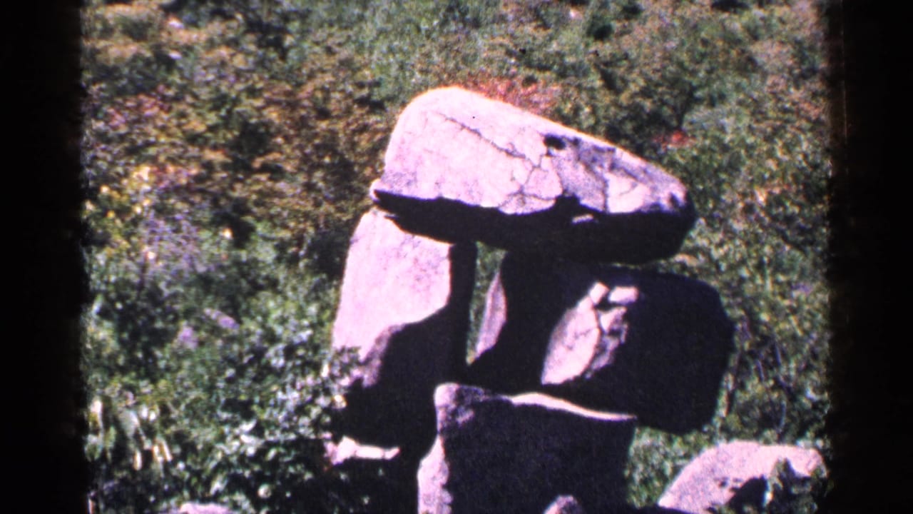 Pale stone marker or boulder in grass with green foliage behind it.