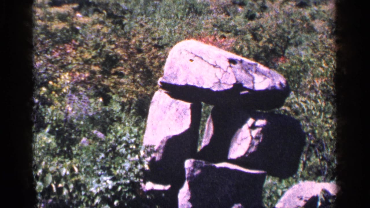 Pale stone marker in a grassy area with foliage and dark shadowing.