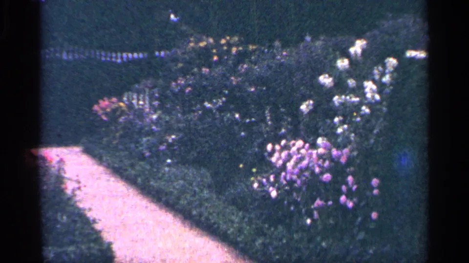 1964 Washington DC home-movie view of flowering shrubs, a curved walkway, lawn, and railings in a park-like public garden.