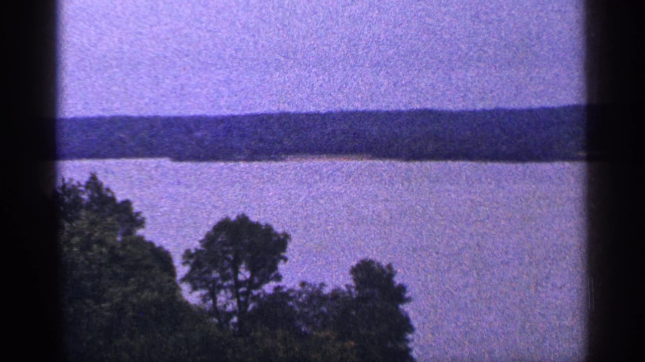 Purple-tinted river view with a dark treeline and silhouetted trees in the foreground.