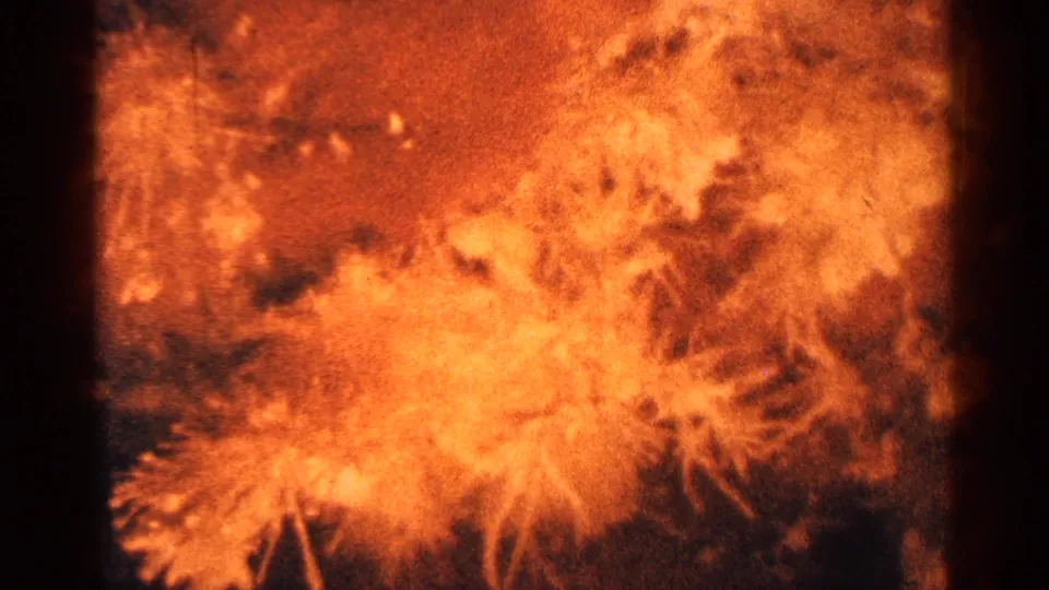 A later 8mm frame continues the orange foliage close-up, showing grain, blur, and dark border areas.