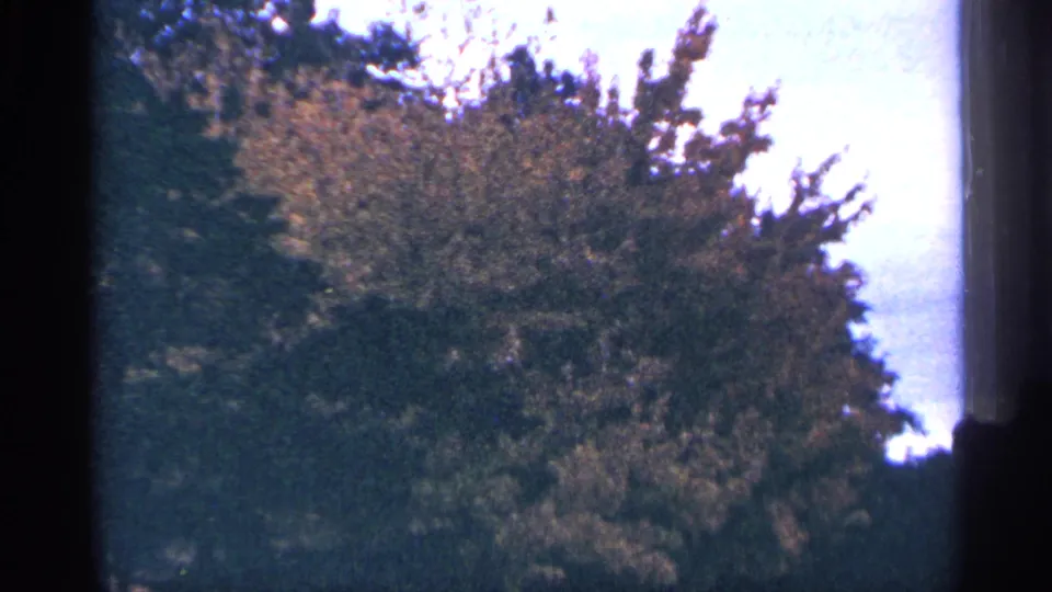1964 Washington DC 8mm frame showing leafy trees, bright sky, blue cast, and heavy grain near the film edge.