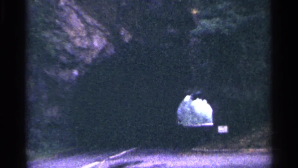The tunnel entrance and small roadside sign sit beside the paved road, with dark trees and rock visible in the 8mm frame.