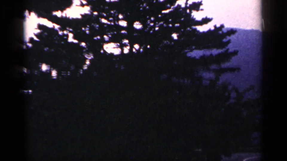 1964 West Virginia 8mm frame showing silhouetted evergreen trees against hazy purple mountain ridges and a pale sky.