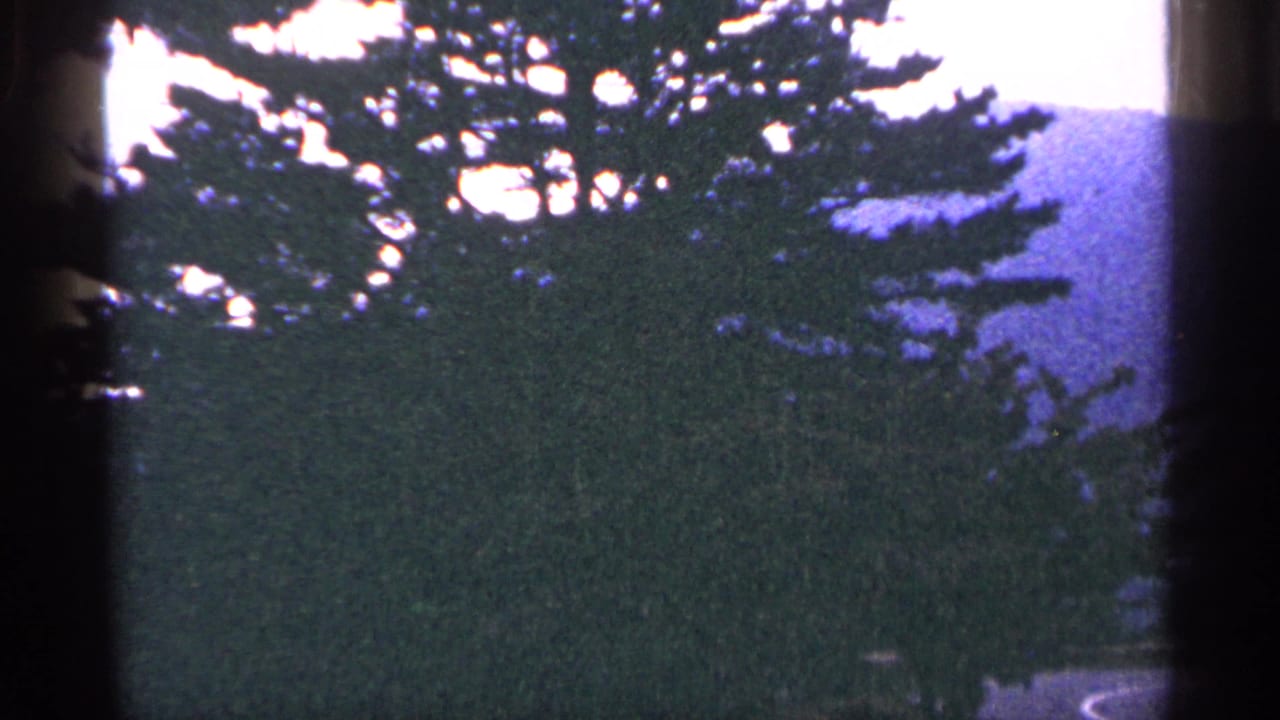 1964 West Virginia 8mm frame showing silhouetted evergreen branches, wooded hills, bright sky, and dark film-edge borders.