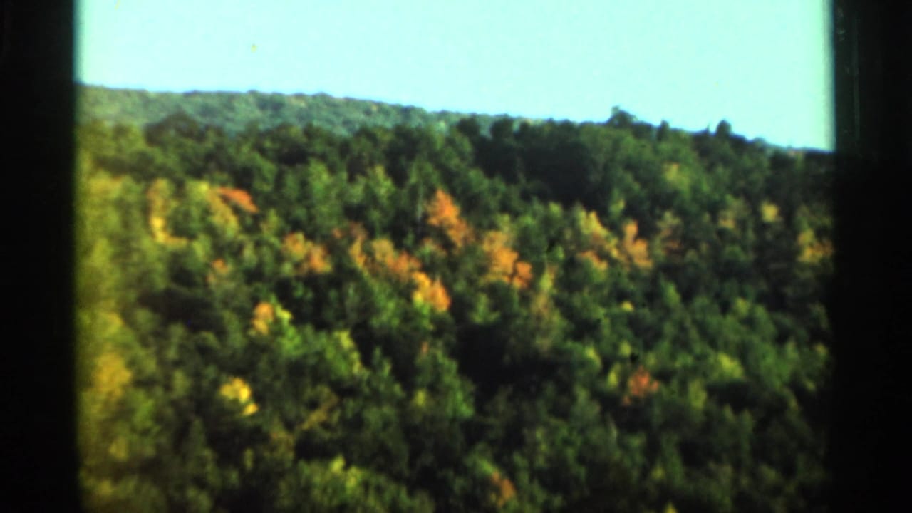 Wooded hillside with scattered yellow and orange foliage patches.