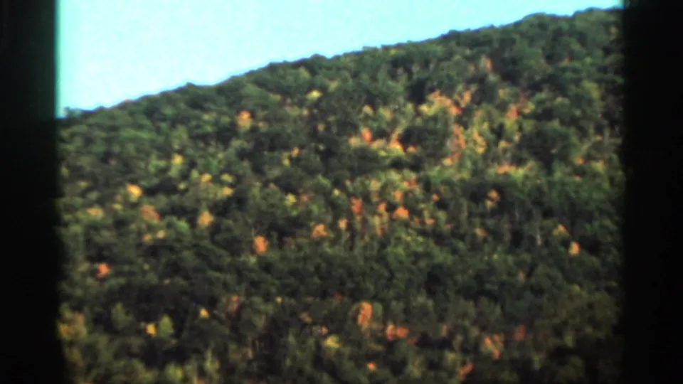 1964 West Virginia home-movie frame of a wooded mountain slope, with mottled green, yellow, and orange foliage under bright sky.