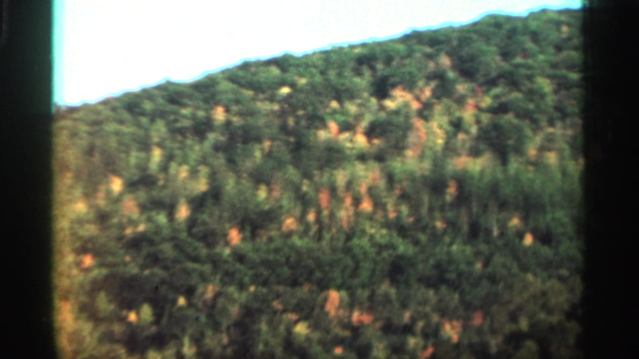 1964 West Virginia 8mm frame showing an elevated view of a wooded hillside with green treetops and scattered warm fall tones.