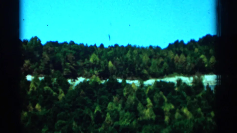 Elevated 1964 West Virginia 8mm view across treetops toward a bright sky and a pale river or path below.