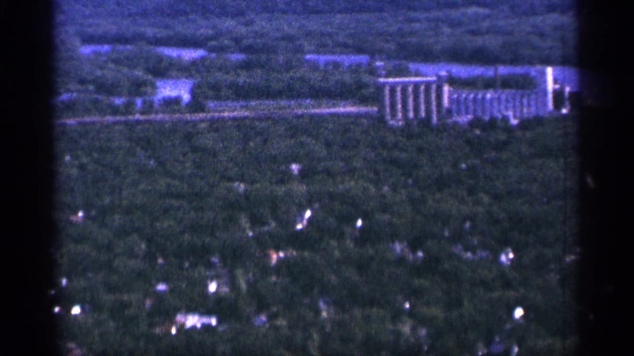 Aerial view over dense trees toward a long industrial building and scattered houses.