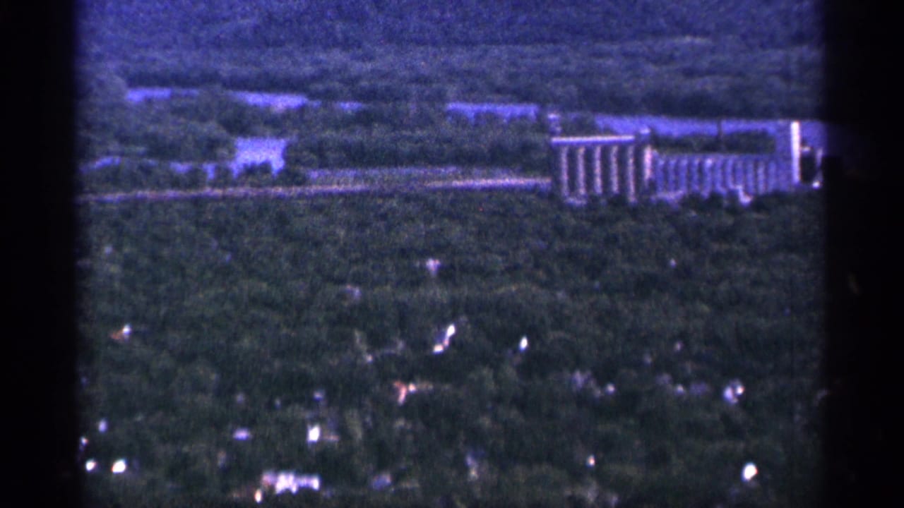 Aerial view of trees, houses, and a long industrial building near the horizon.