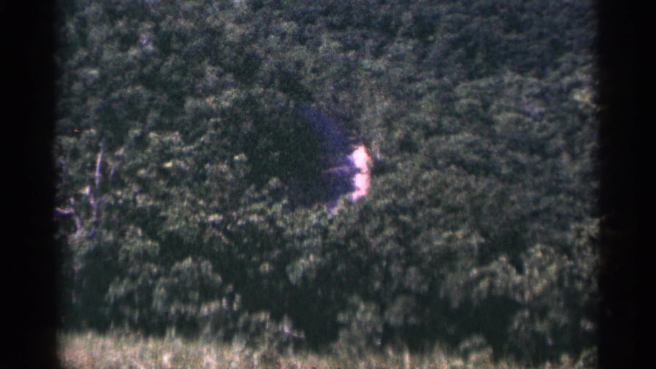 1965 Duluth home-movie frame showing dense trees and a small bright area in the foliage, with soft focus and dark 8mm borders.