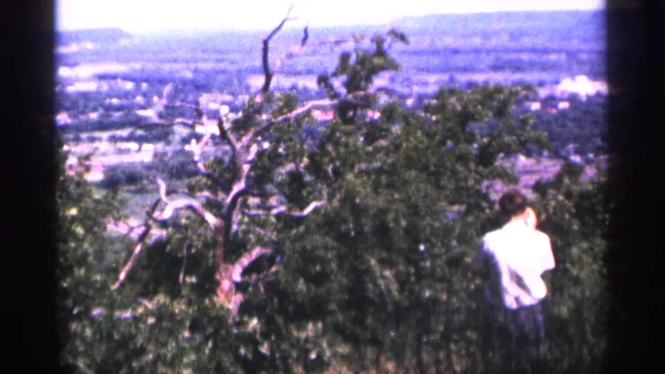 Adult man in a light shirt stands at a Duluth scenic overlook, framed by a bare branch, leafy trees, and a distant town view.