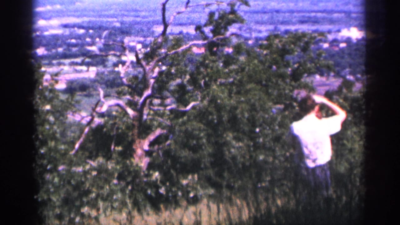 The man appears to shield his eyes from sun while standing on a Duluth hillside, with trees and a distant landscape visible through soft 8mm color.