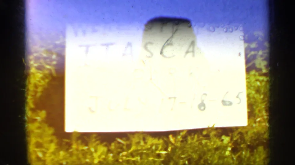 An overexposed handwritten white sign, including July 1965 wording, rests on grass in the Minnesota travel footage.
