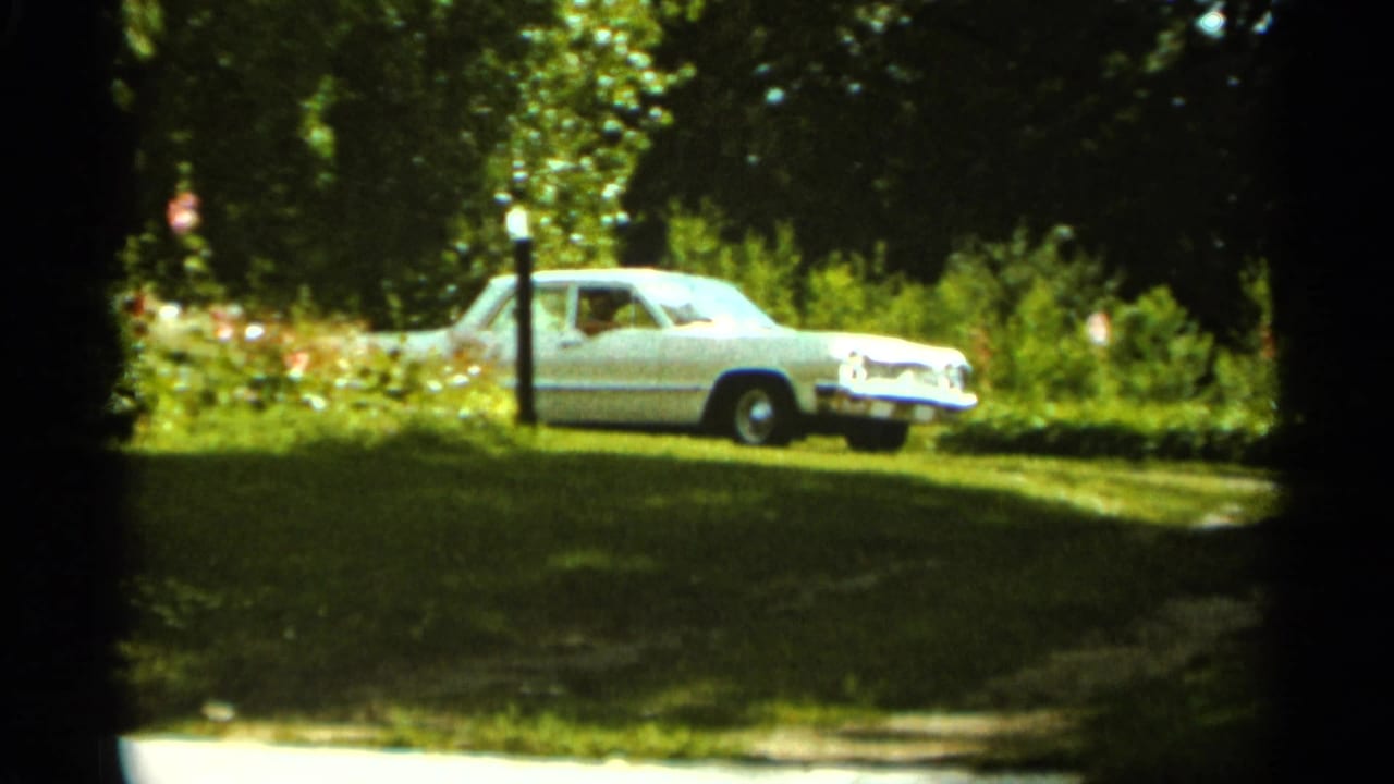 White sedan parked or moving near a grassy driveway with trees and a lamp post.