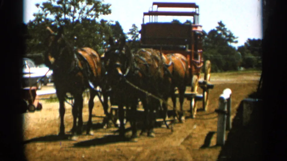 1965 Duluth reel frame showing two brown horses harnessed to a carriage on a dirt road, with trees and a white car partly visible nearby.