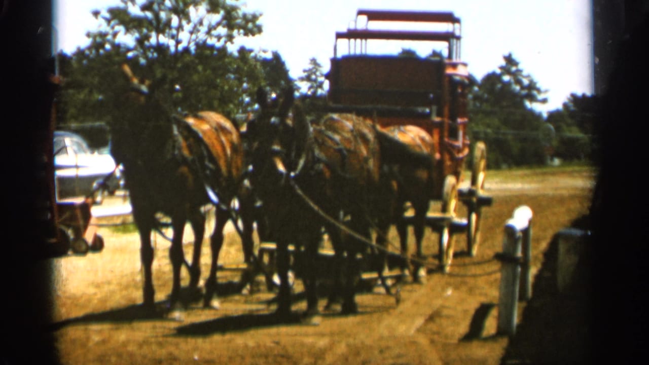 1965 Duluth home-movie frame showing four brown horses harnessed to a red stagecoach, with trees and a light-colored car behind them.