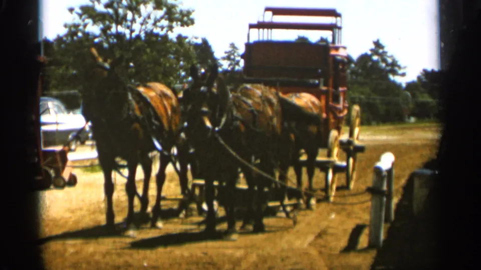 1965 Duluth home-movie frame showing four brown horses harnessed to a red stagecoach, with trees and a light-colored car behind them.