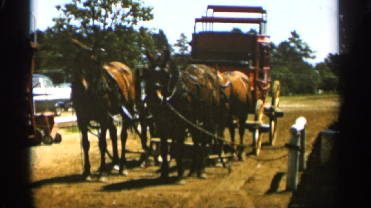 Harnessed brown horses stand in front of a red stagecoach outdoors.