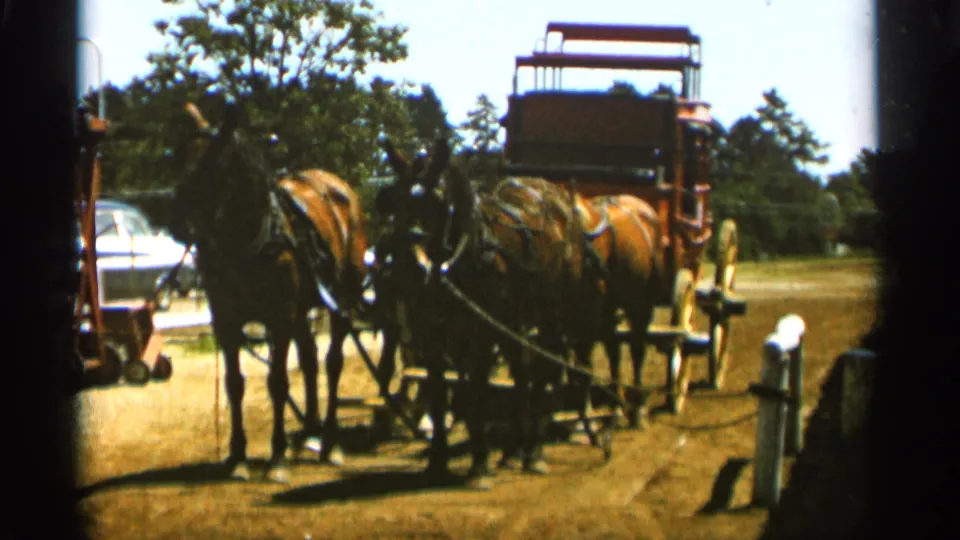 1965 Duluth home-movie view of the horse team and red stagecoach from a slightly closer angle, with harnesses and shade visible.