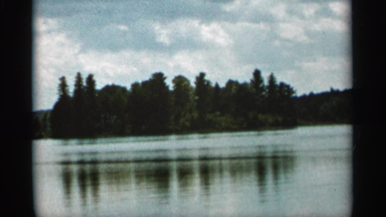 Wide lake view with trees along the far shore and reflections on the water.