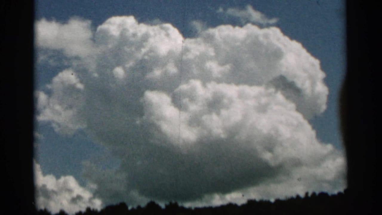 Large cumulus cloud over a dark treeline beneath a blue sky.