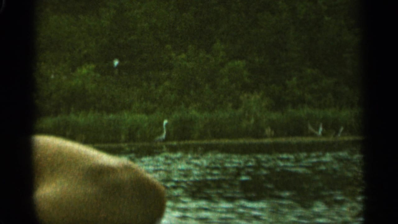 River and wooded shore seen through dark window framing, with a partial bare limb at the left edge.
