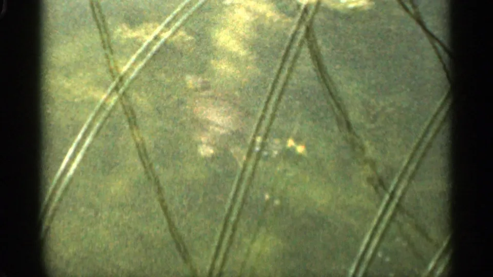 Abstract 8mm close-up of a greenish textured surface, possibly fabric or tent material, crossed by diagonal raised lines.