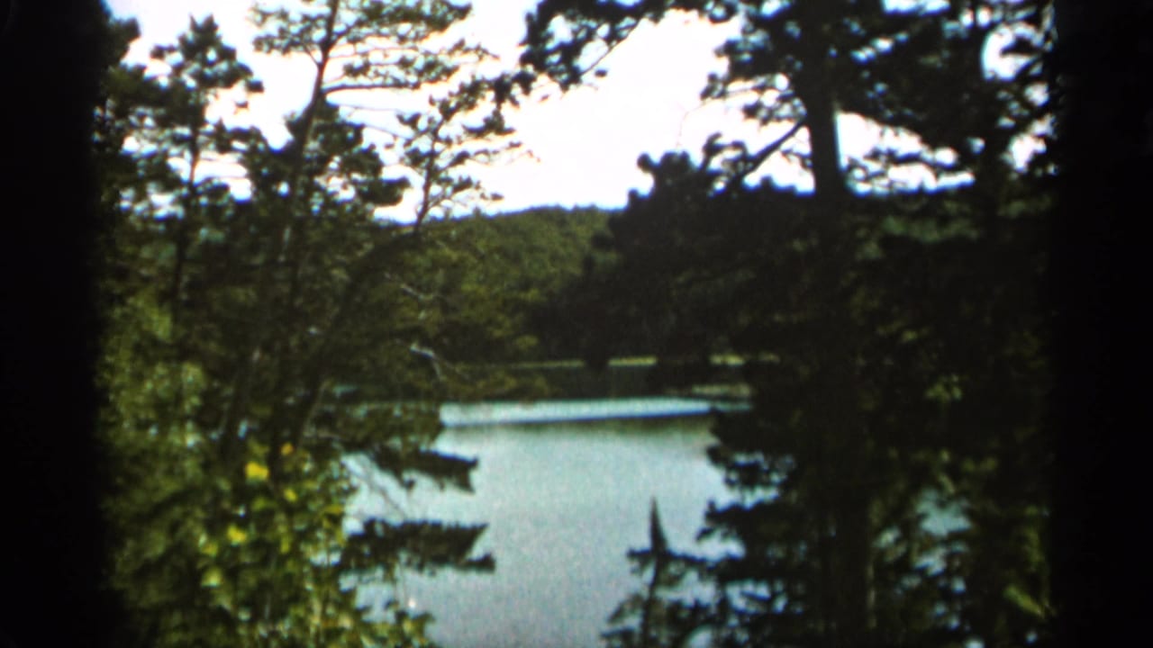 Lake seen through dark evergreen trees from a wooded hillside.