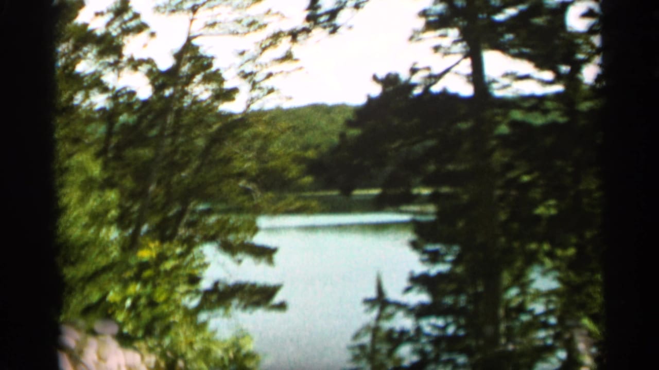 A calm Minnesota lake appears beyond dense trees, with a dark foreground trunk dividing the handheld 8mm frame.