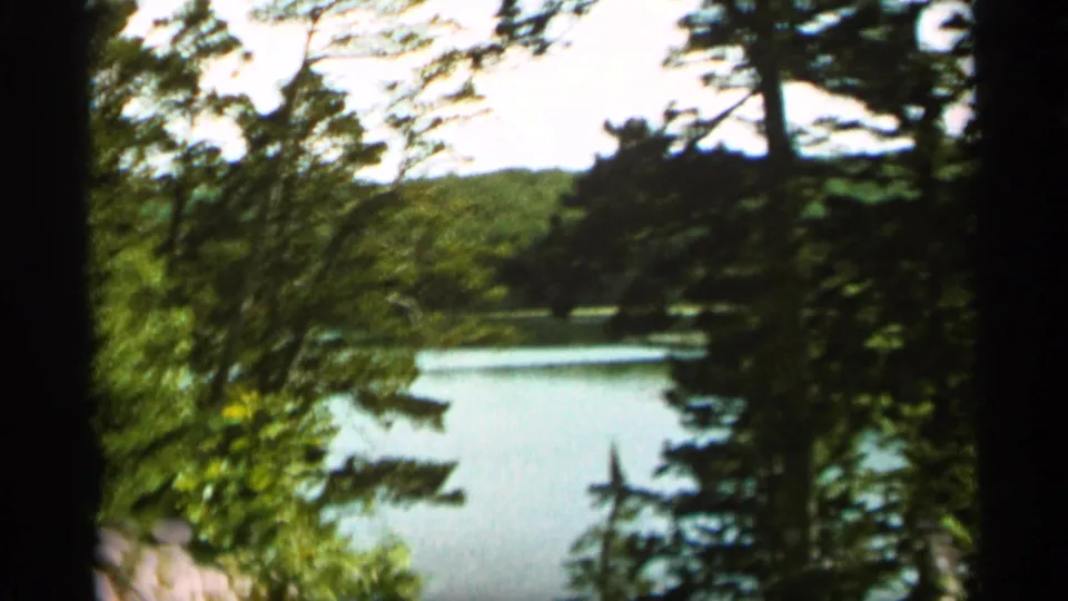 A calm Minnesota lake appears beyond dense trees, with a dark foreground trunk dividing the handheld 8mm frame.