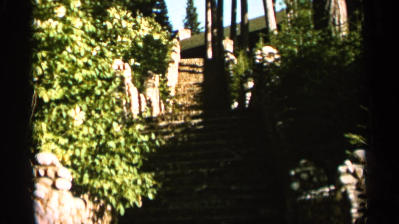 1965 Duluth home-movie frame showing a landscaped stone stairway, dense greenery, tree trunks, and part of a house in dappled afternoon light.