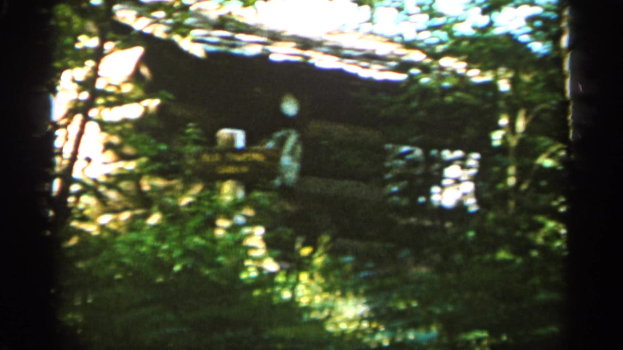 1965 Duluth home-movie frame with trees partly obscuring a small lakeside structure and reflective water beyond.