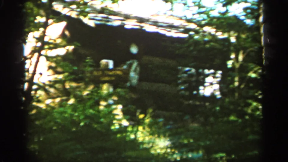 1965 Duluth home-movie frame with trees partly obscuring a small lakeside structure and reflective water beyond.
