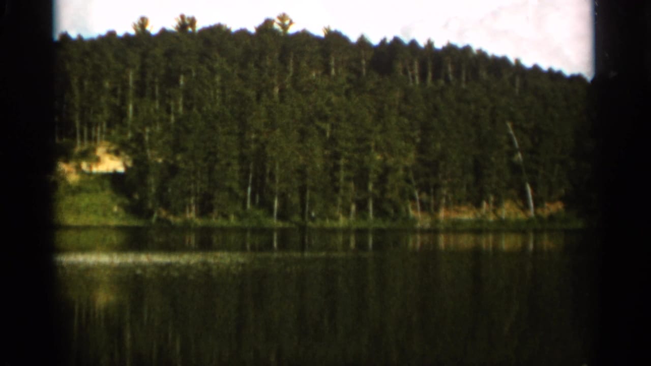 Calm lake bordered by a dense line of tall evergreen trees.