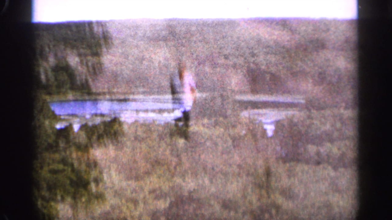 1965 Duluth-area 8mm frame showing a distant lake beyond dense trees, with bright sky and heavy home-movie grain.