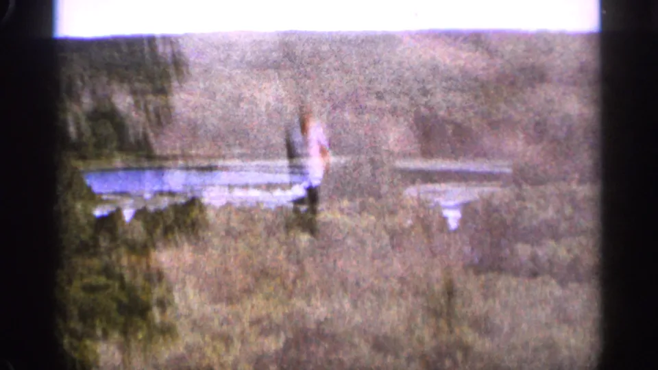 1965 Duluth-area 8mm frame showing a distant lake beyond dense trees, with bright sky and heavy home-movie grain.