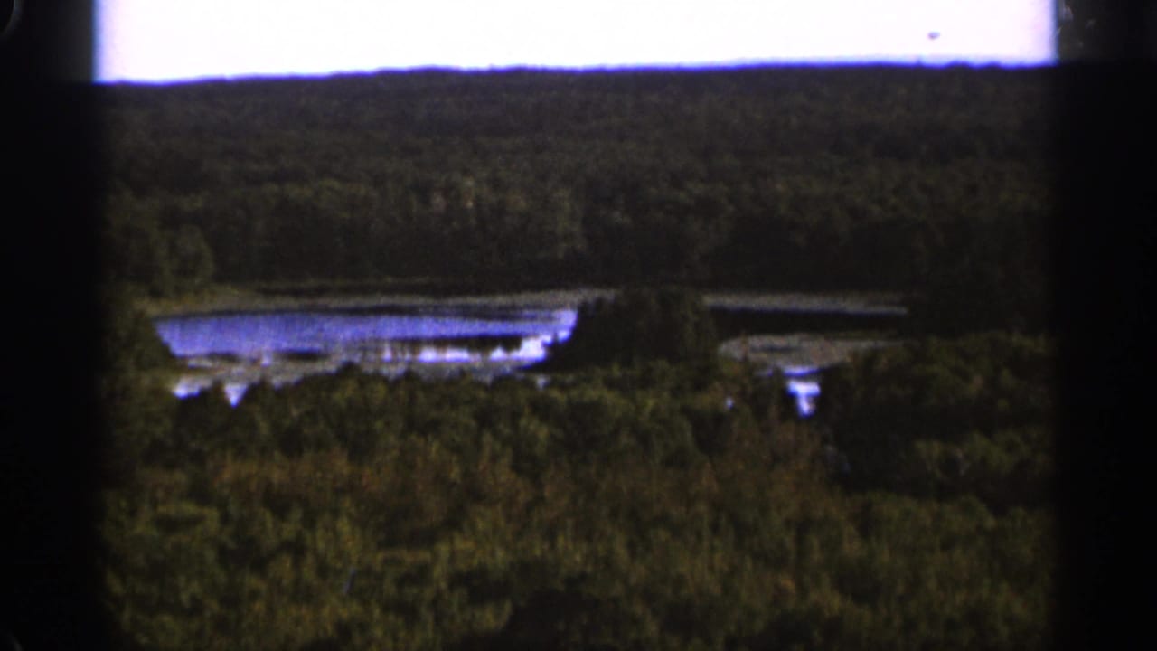 Darker elevated view across forest toward a lake under a bright sky.